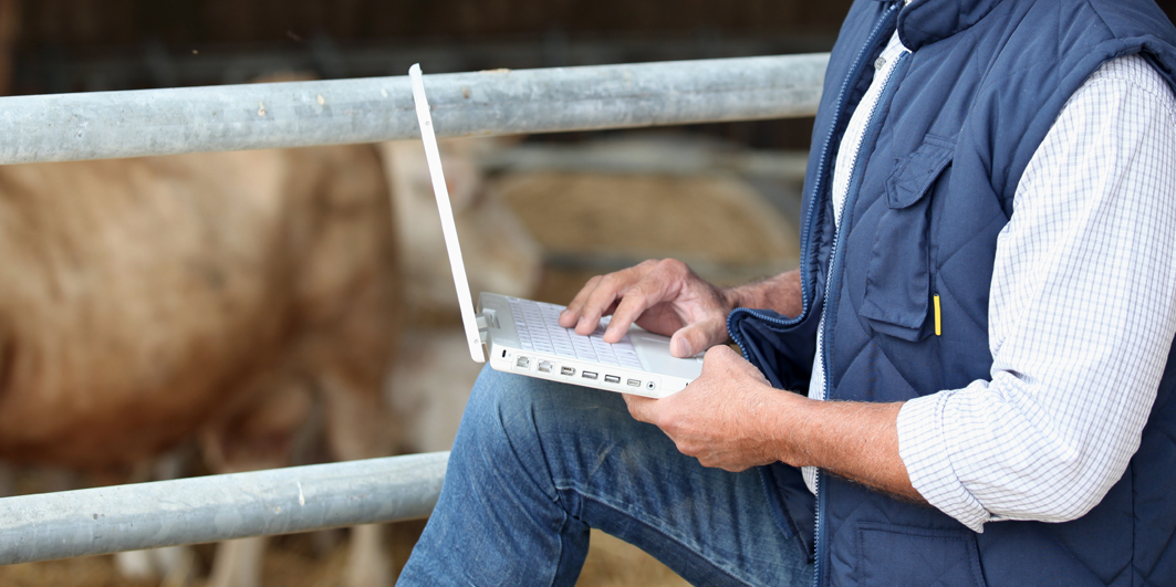 Farmer with laptop