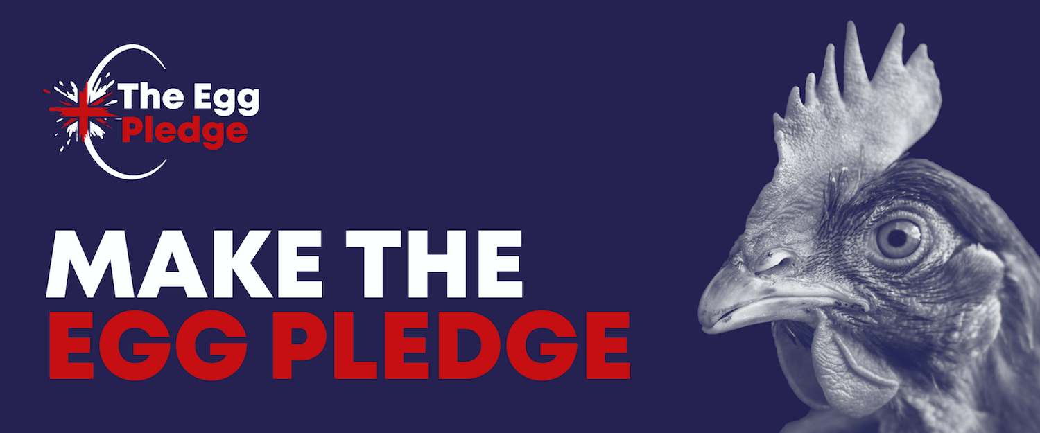 The Egg Pledge graphic