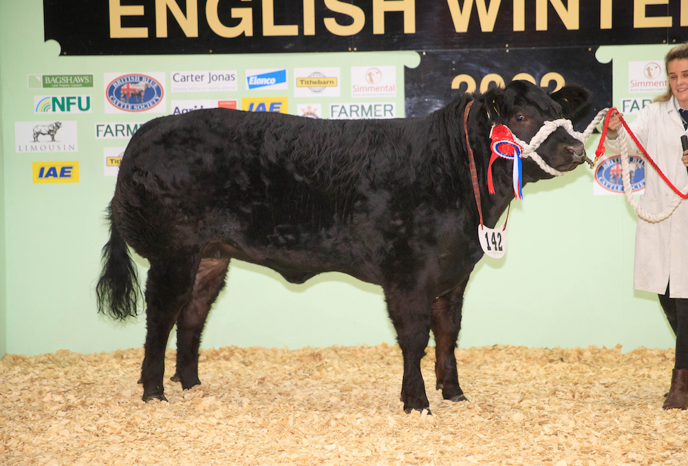 2022 Overall Beef Champion