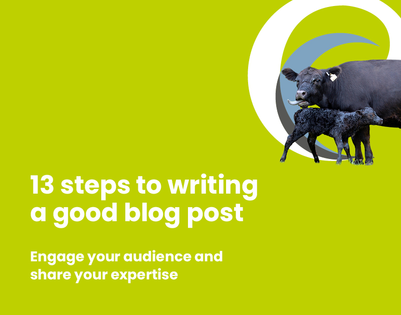 13 steps to writing a good blog post thumbnail