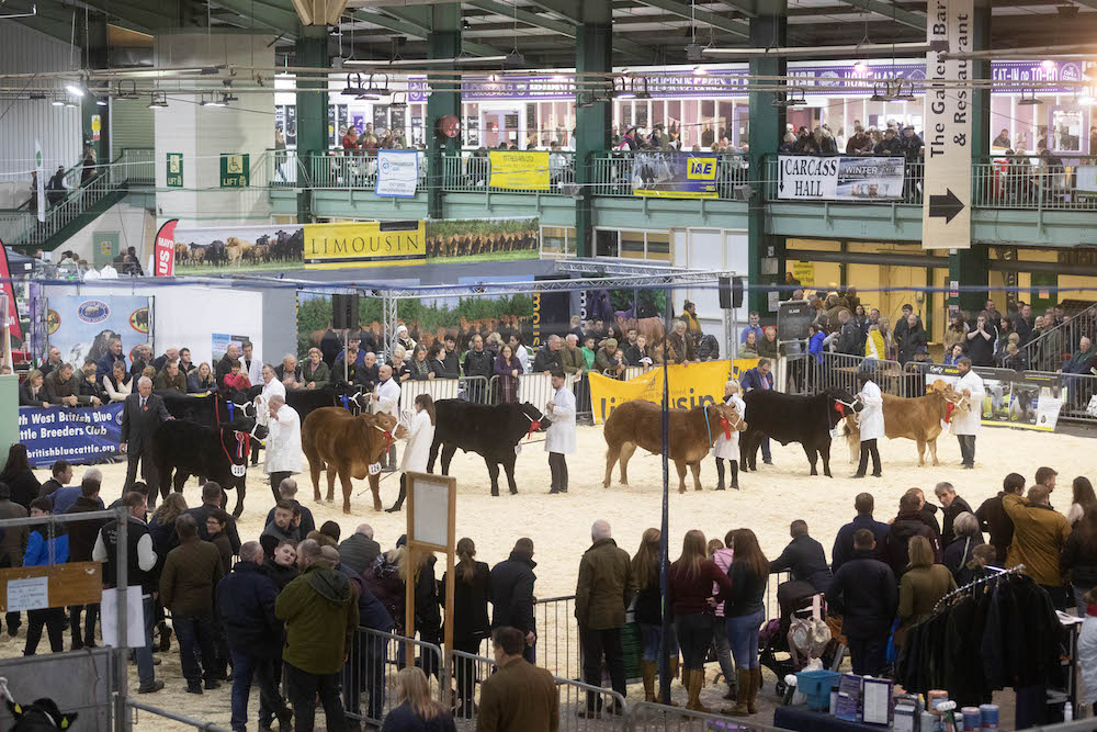 English Winter Fair, Staffordshire