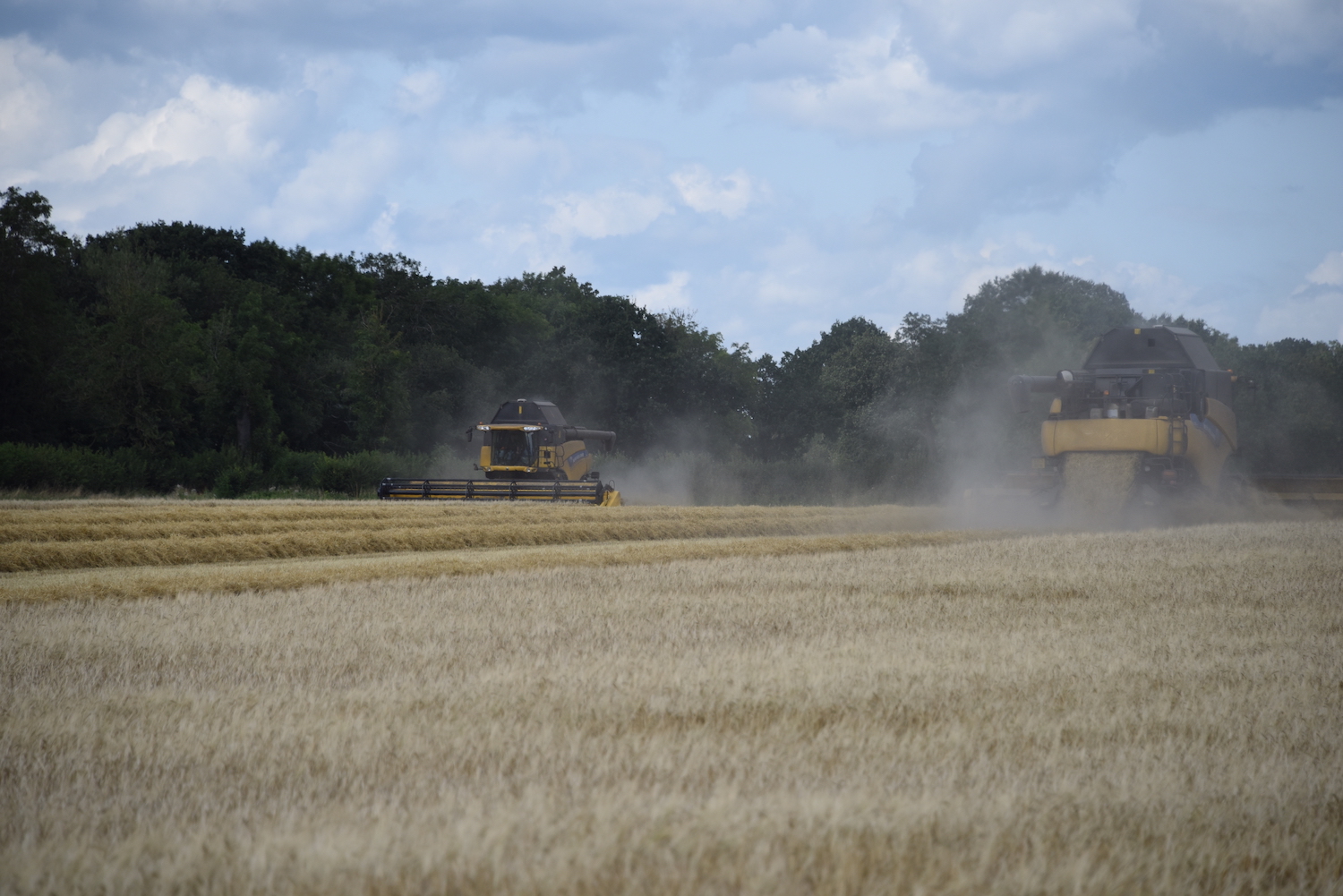 Combining Univoq treated wheat