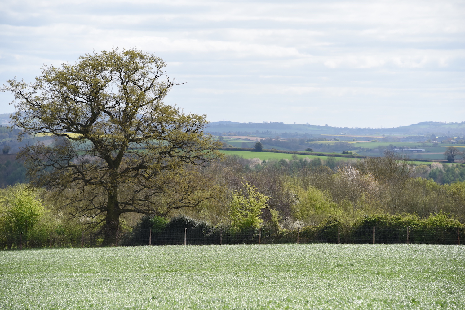 English landscape