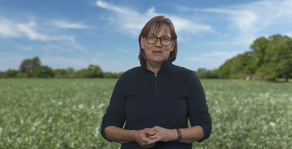 IPM tools for legumes still