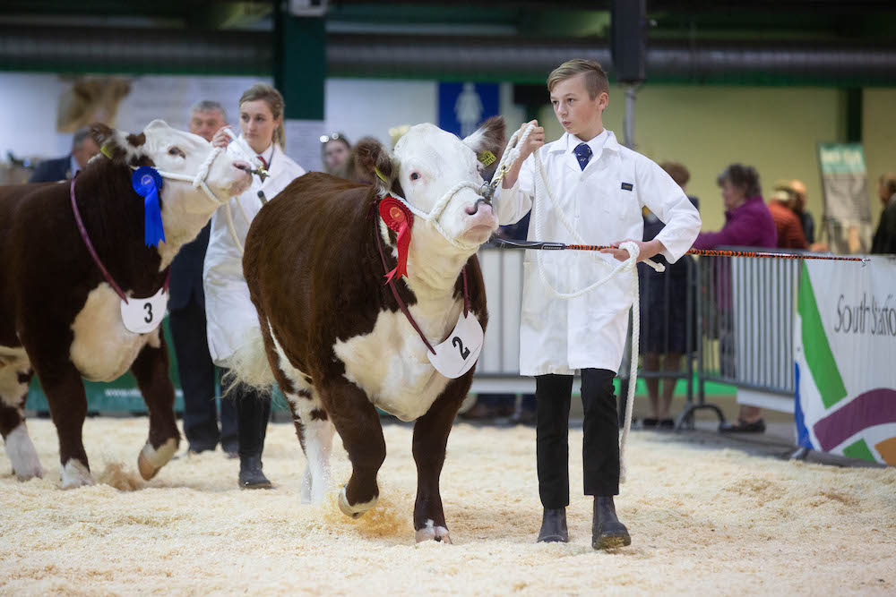 The English Winter Fair has a long history of supporting young people involved in farming and countryside