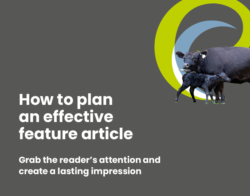 How to plan an effective feature article