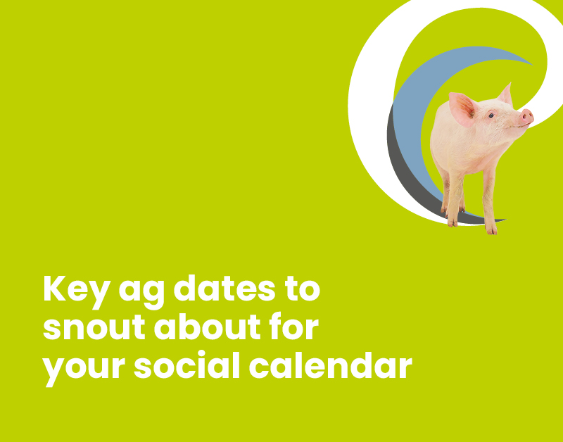 Key dates to snout about for your ag social calendar thumbnail