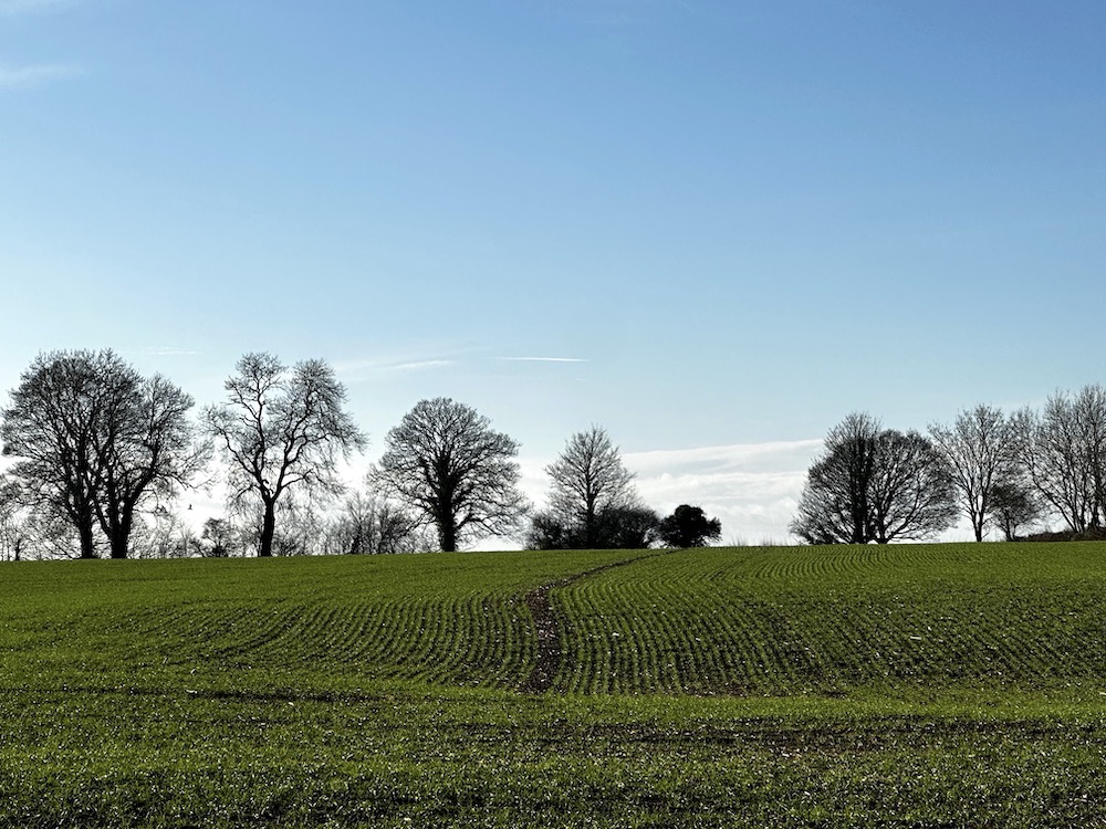 Many fields are suitable for sprayers to travel