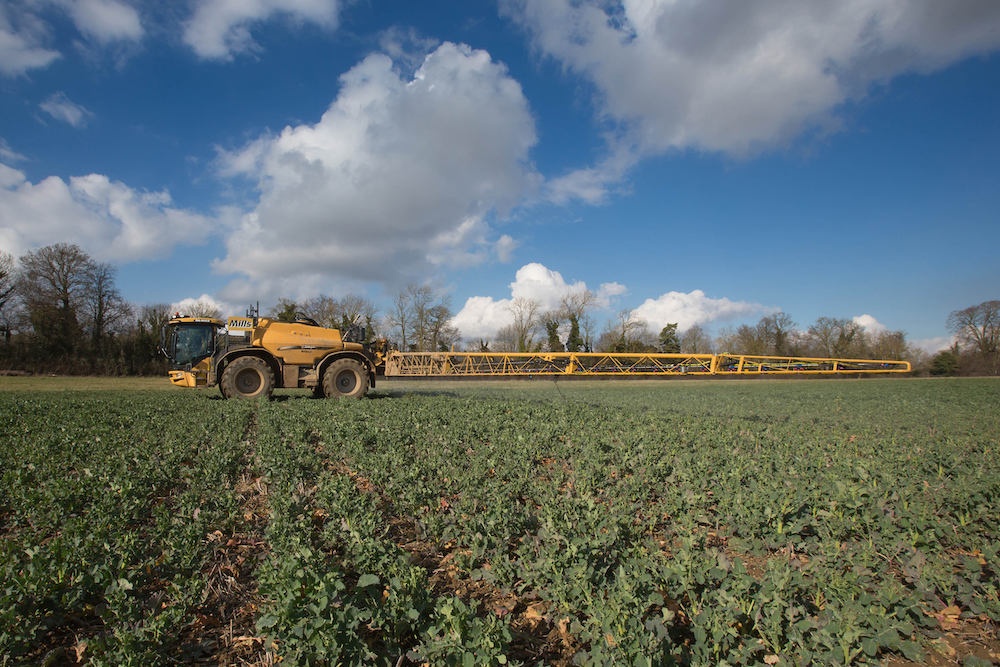 Applying Fungicide to oilseed rape
