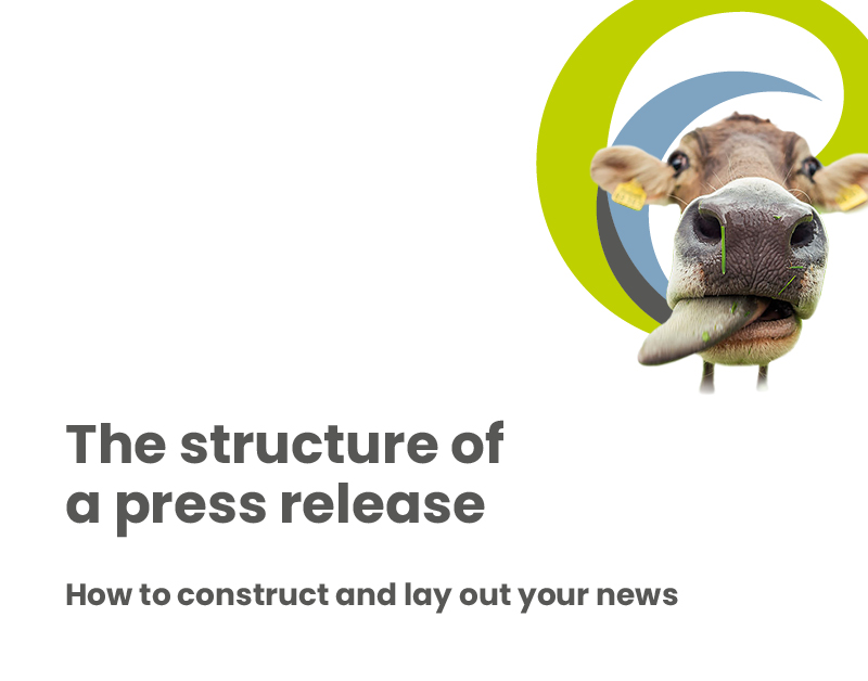 The structure of a press release thumbnail