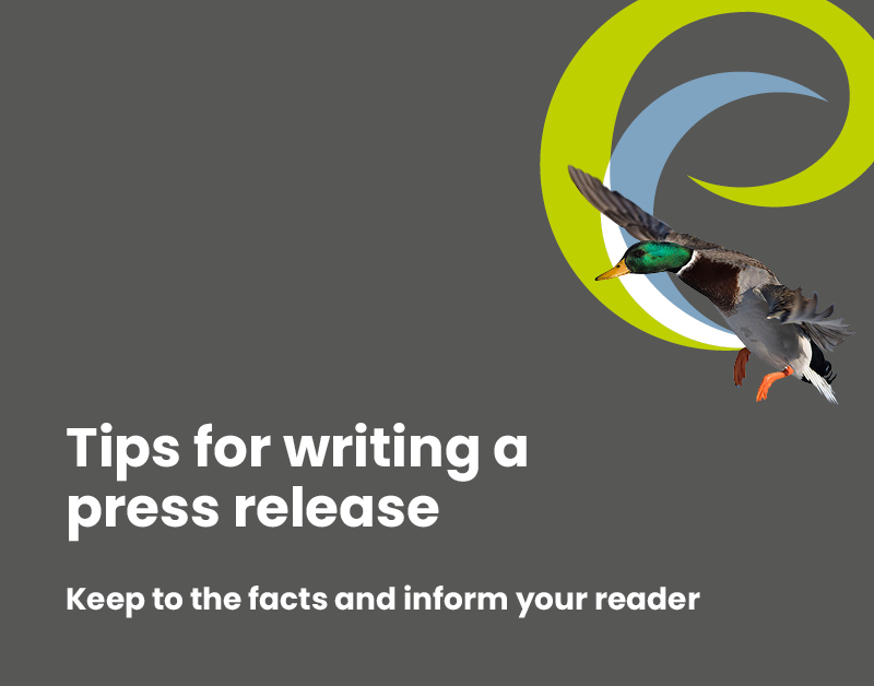 Tips for writing a press release thumbnail