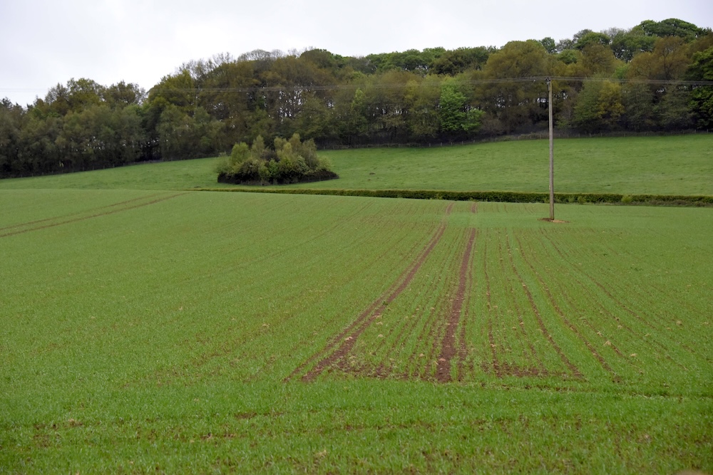 UK farmland continues to be a safe investment