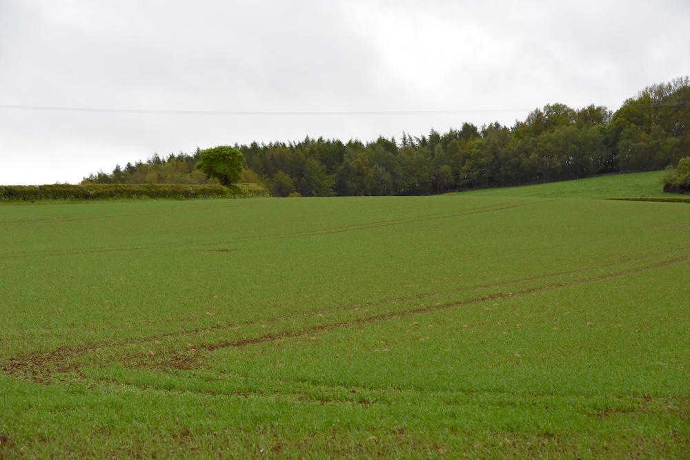 severity of brome concern
