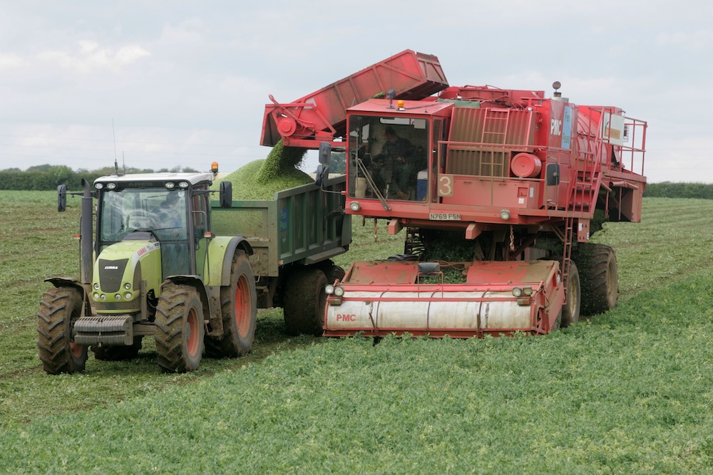 PGRO harvest forecasting tool